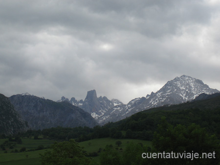 Picos de Europa