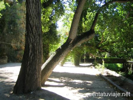 Parque de la Floresta, Viver (Castellón)